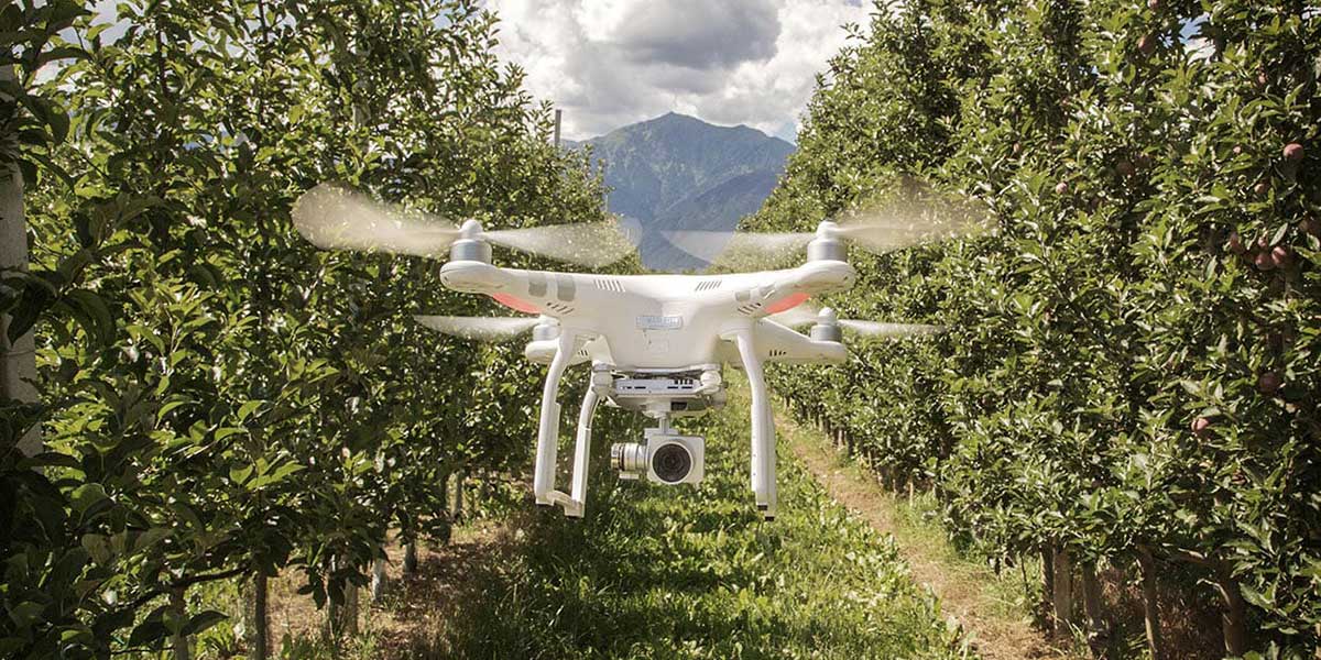 Cambiamenti climatici, nasce il progetto Agriclima